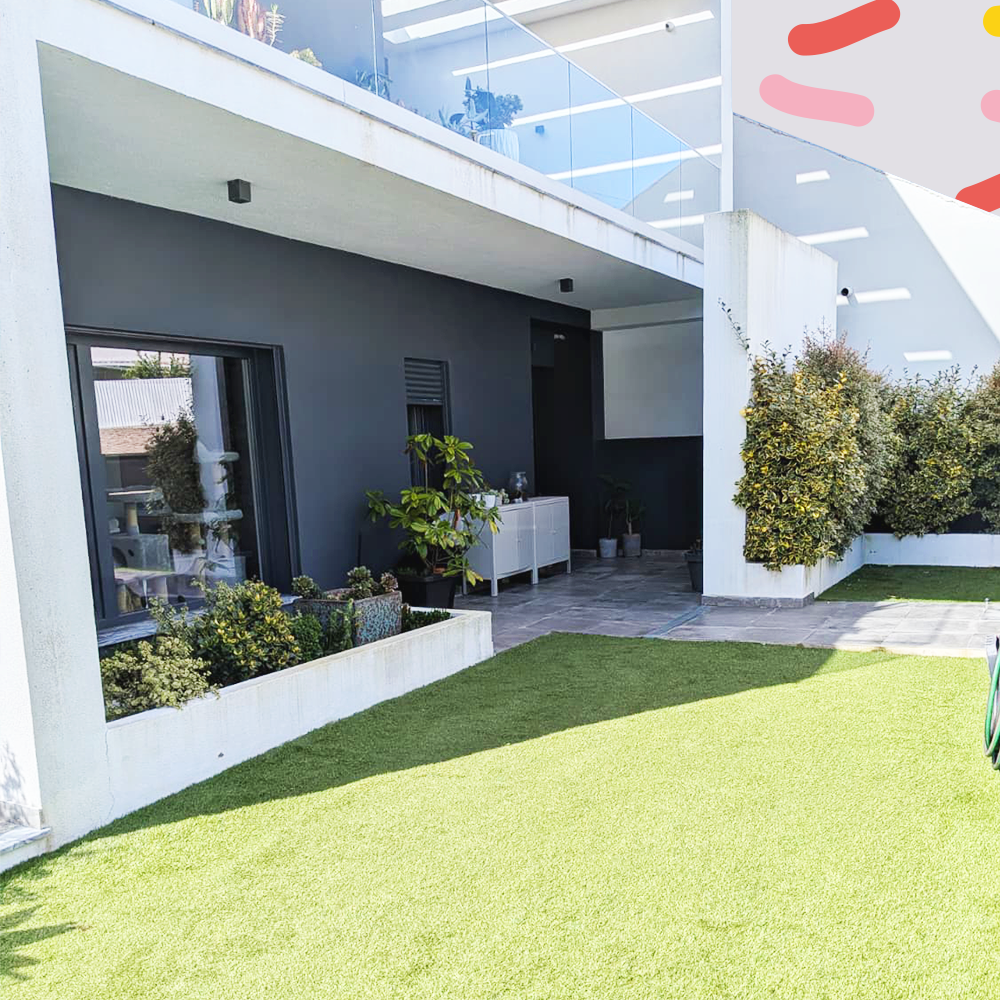 passeio diário incluído na estadia de cães na Amadora